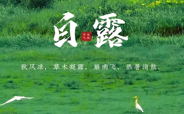 宕昌白露清新，新创洁与您共享洁净之美